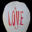 SP02I LTAJC LAMPION TST - I love you